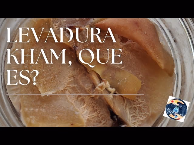 ¿Cuál es el tratamiento para las levaduras?