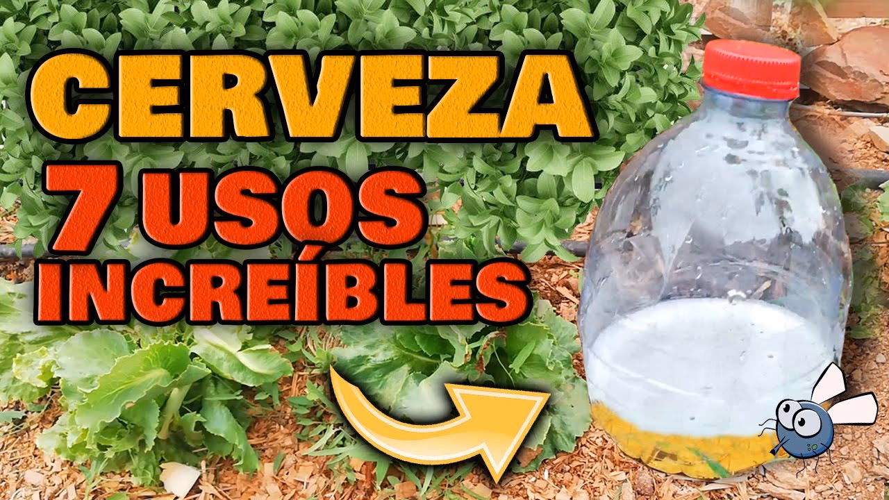 ¿Cómo se debe almacenar la cerveza?