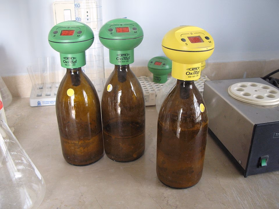 ¿Cuál es el factor de dilución ideal para una muestra menos contaminada?