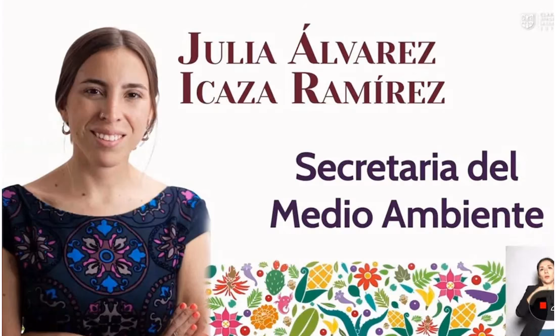 ¿Qué información se puede obtener de la sección ambiental?