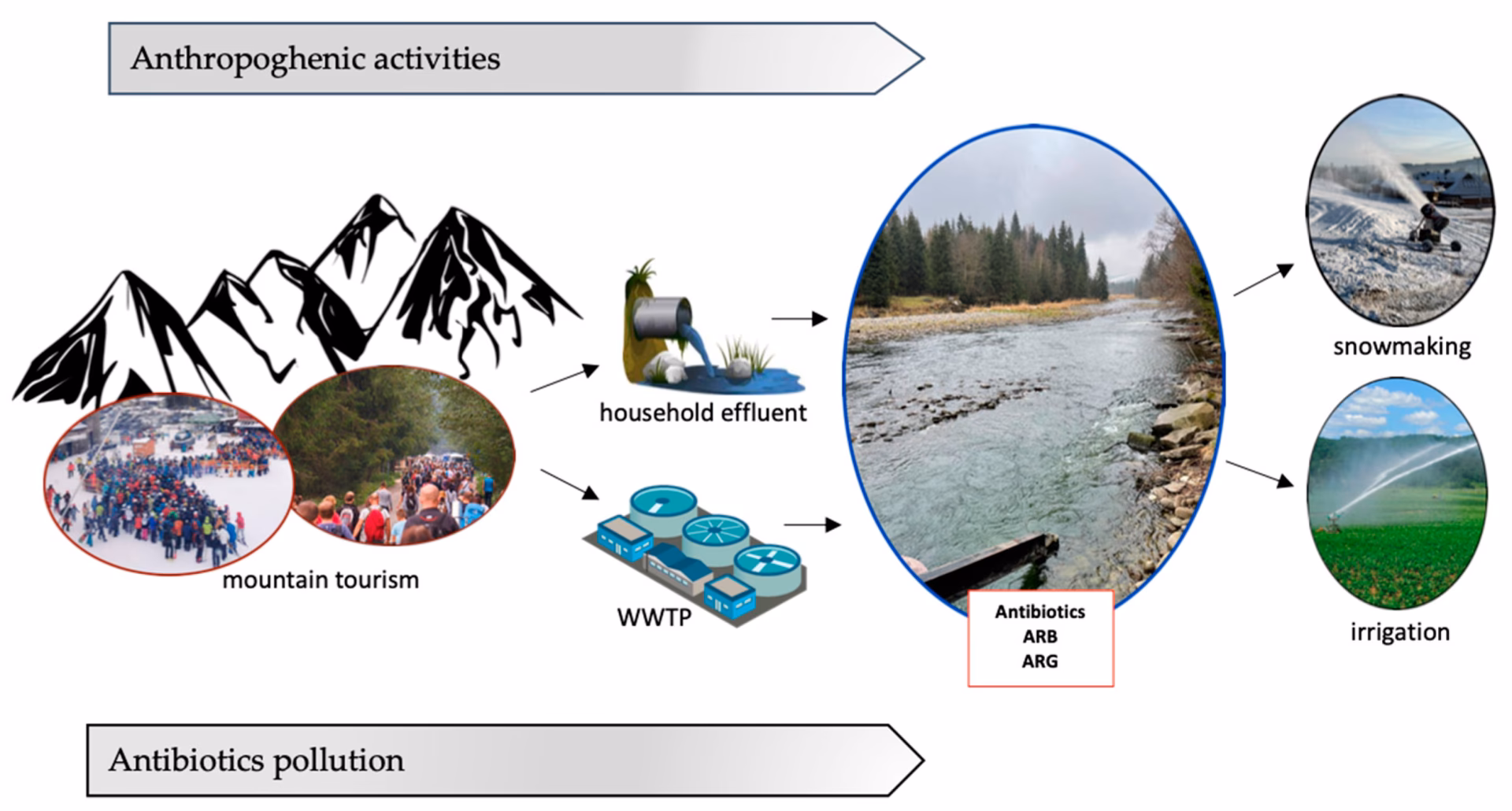 How does human activity affect ecological succession?