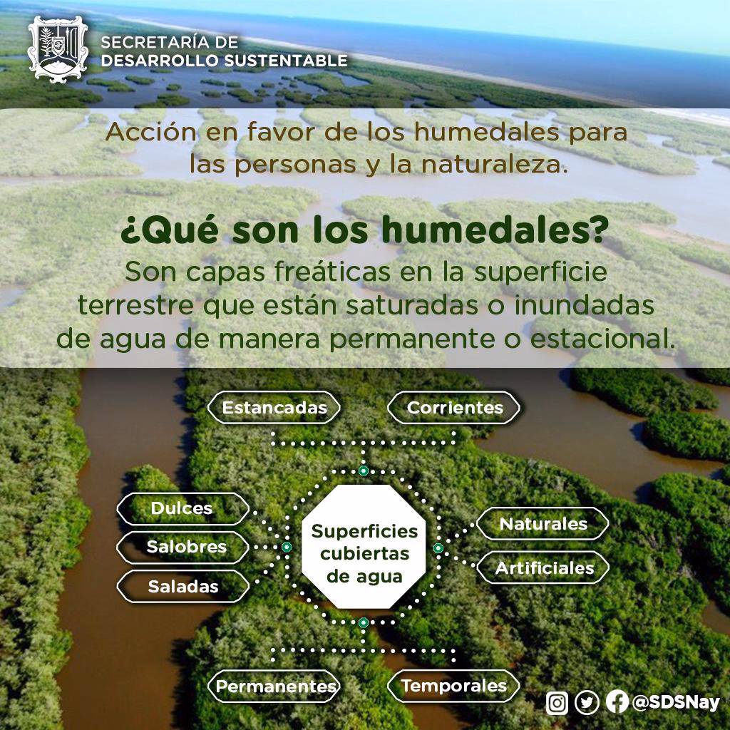 ¿Cuáles son las principales amenazas de los humedales de Misiones?