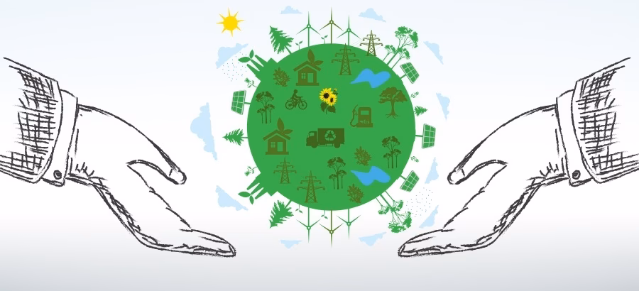 ¿Cuál es el papel de las ONG en el desarrollo sustentable?