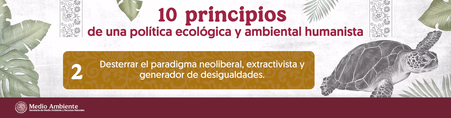 ¿Qué reporta la Secretaría del Medio Ambiente de la ciudad de México?