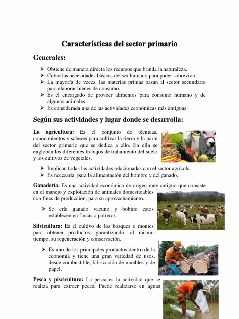 ¿Cuáles son las actividades del sector primario?