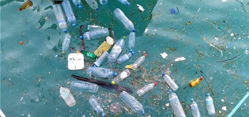 ¿Cuál es el impacto de las botellas de plástico en los océanos?