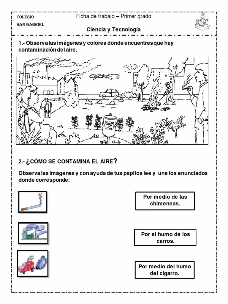 ¿Cuáles son los contenidos de la educación ambiental?