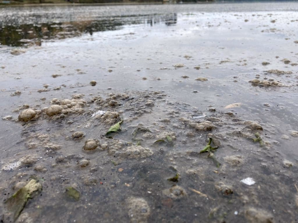 ¿Cuál es el papel de la sedimentación en los procesos químicos?