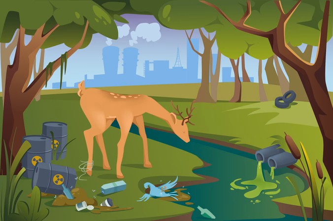 ¿Cuáles son las causas de la contaminación en la selva?