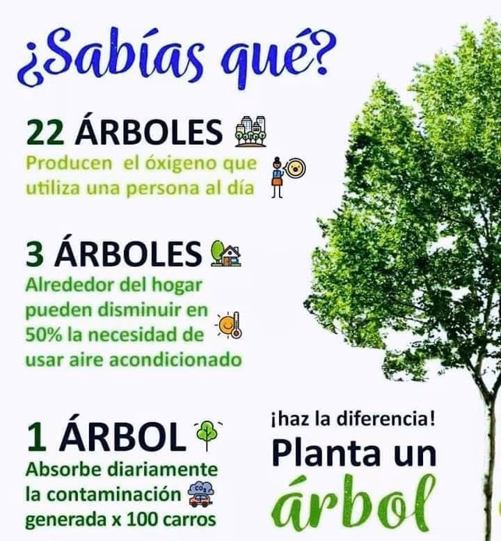 ¿Cuáles son las mejores frases que puedes utilizar en un cartel del Medio Ambiente?
