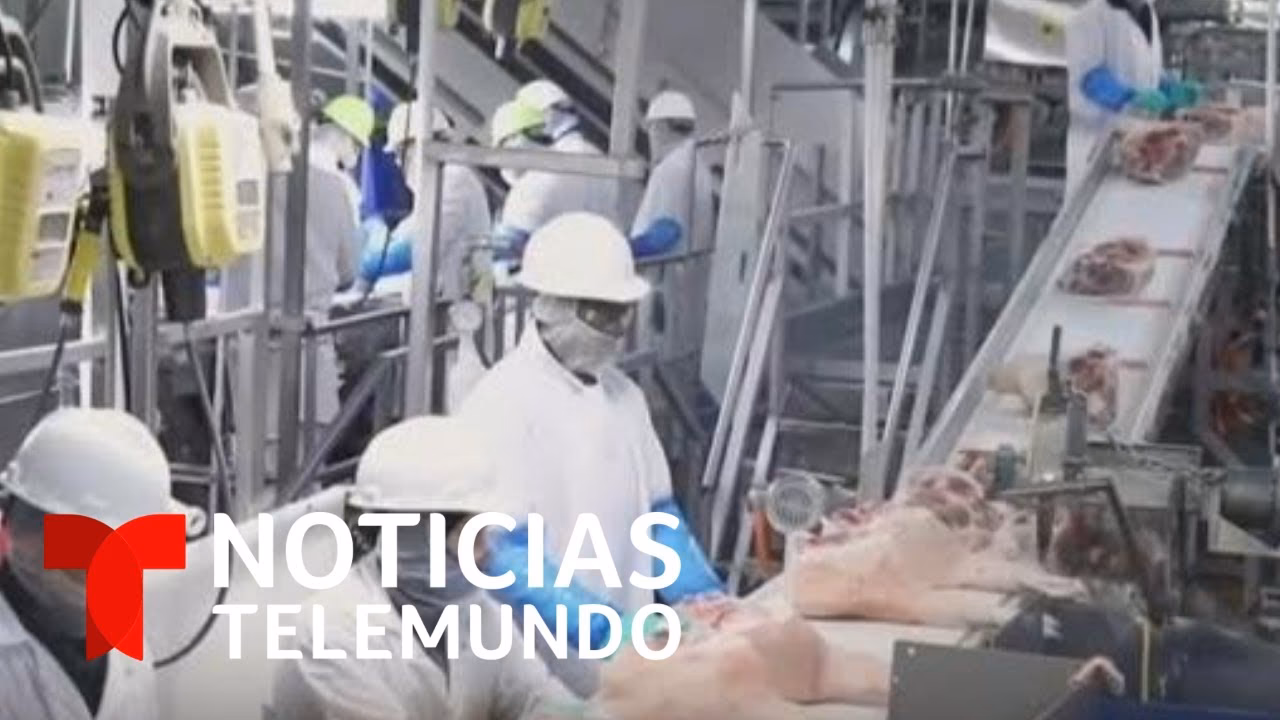 ¿Cuál es la multa por no llevar la señal de carné?