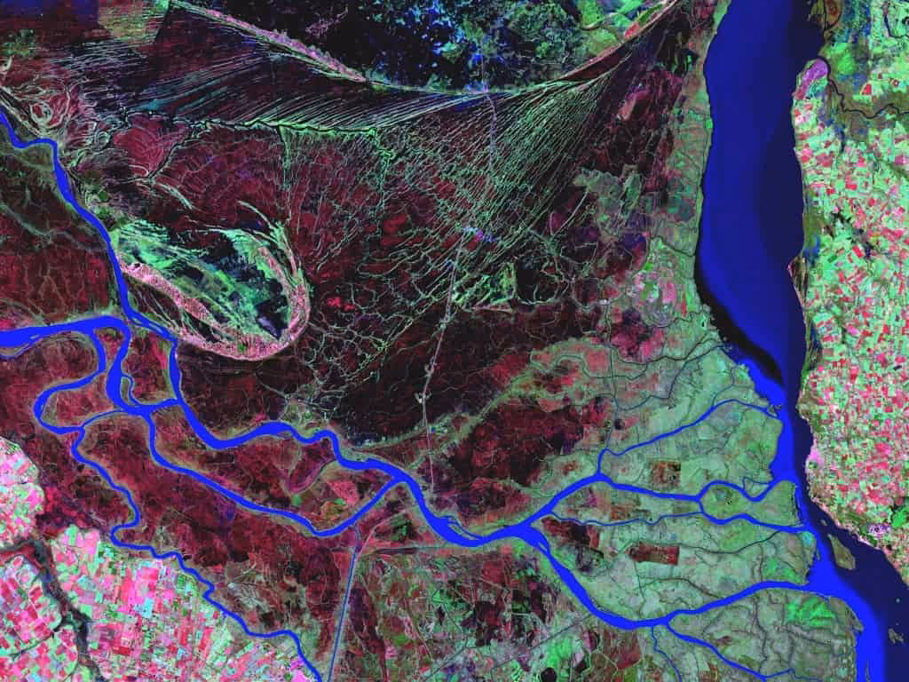 ¿Cómo supervisar el medio ambiente?