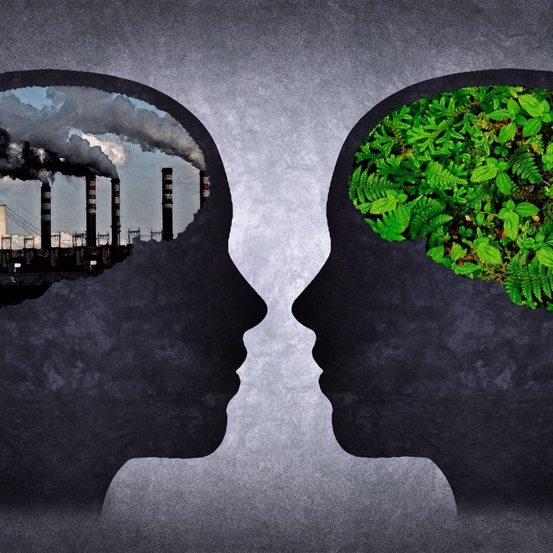 ¿Cuáles son las psicopatologías causadas por la contaminación ambiental?