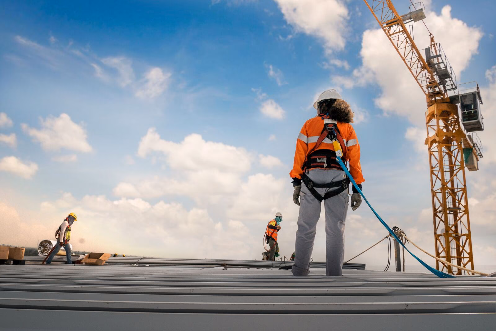 ¿Qué es SGS y para qué sirve?