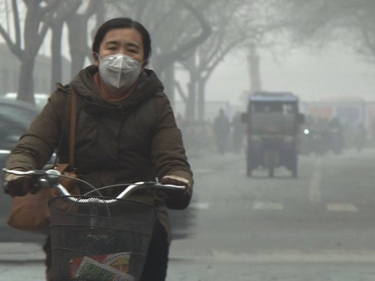 ¿Cuántos contagios hay en Shijiazhuang?