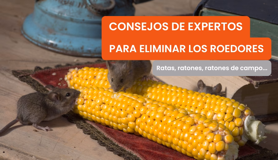 ¿Cómo afecta la contaminación al patrimonio genético de los ratones?