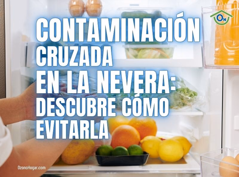 ¿Dónde se encuentran los alimentos en la heladera?