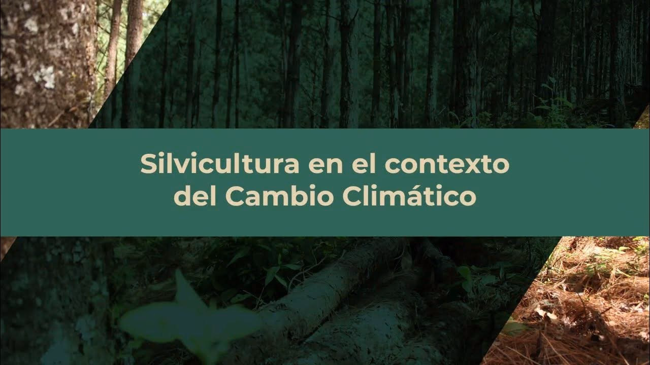 ¿Cómo mejorar la resiliencia del sector agrícola al cambio climático?