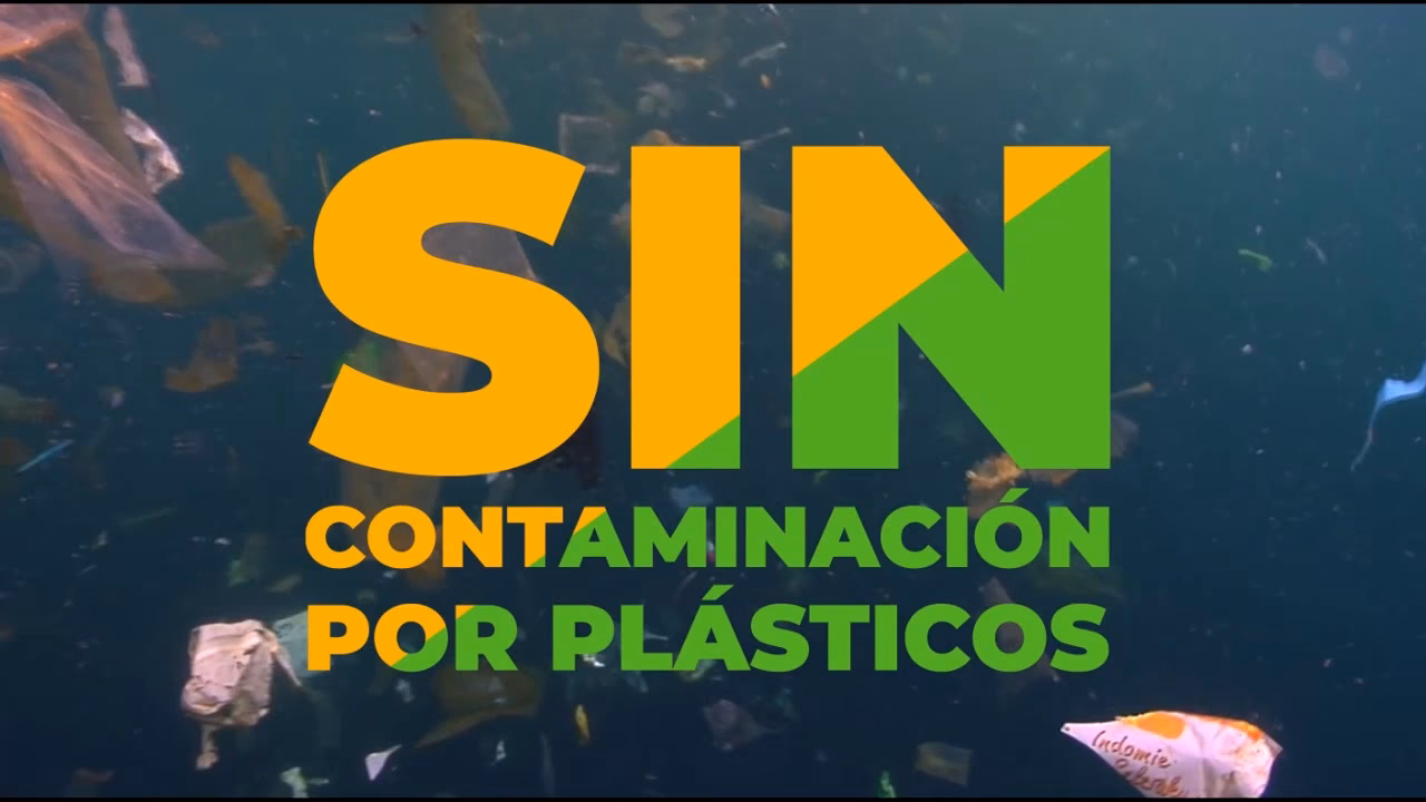 ¿Cómo está llegando el plástico a la naturaleza?