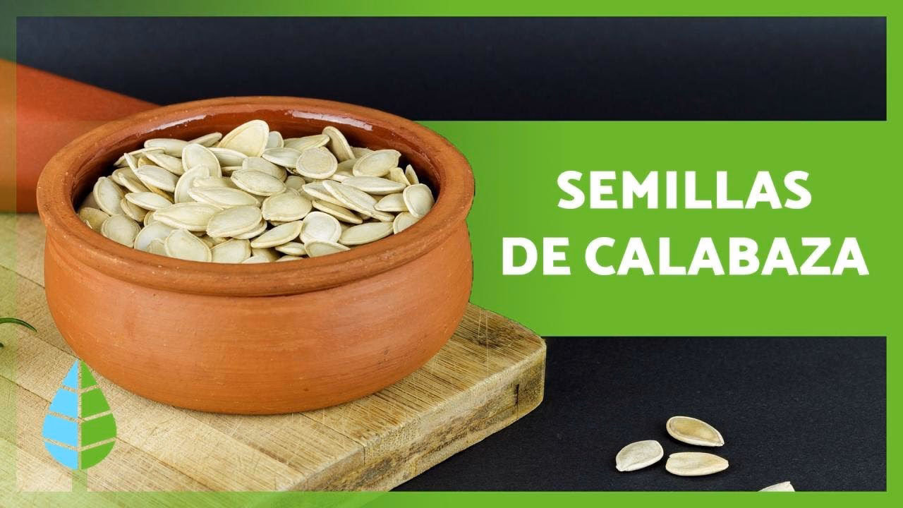 ¿Cómo preparar la mezcla de compost para la semilla?