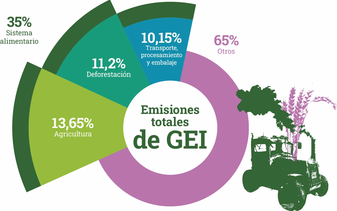 ¿Cuáles son los tipos de contaminación que afectan la cadena alimentaria?