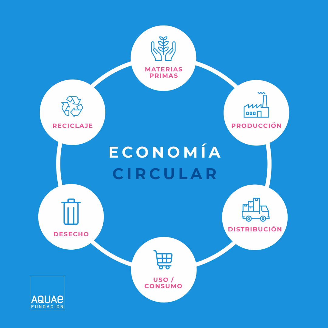 ¿Qué es la economía circular?