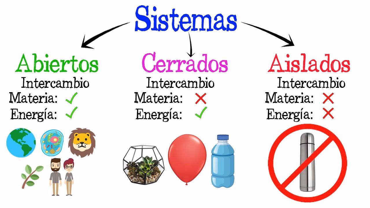 ¿Cómo se manifiesta el concepto “sistema abierto”?