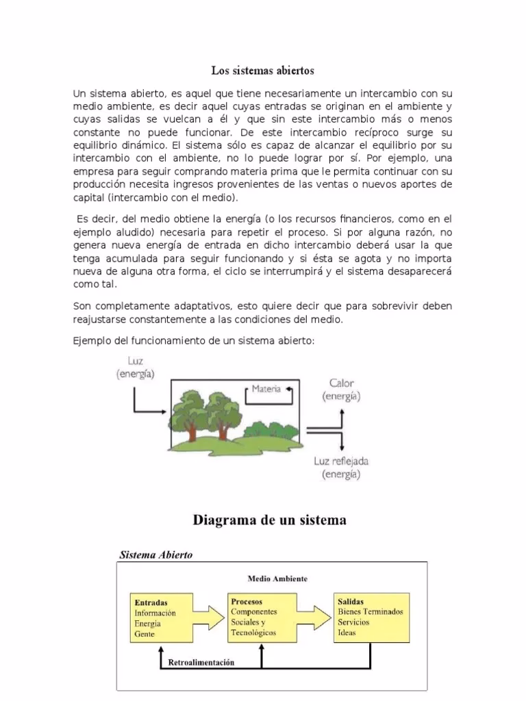 ¿Cómo se relacionan los sistemas naturales con el medio ambiente?