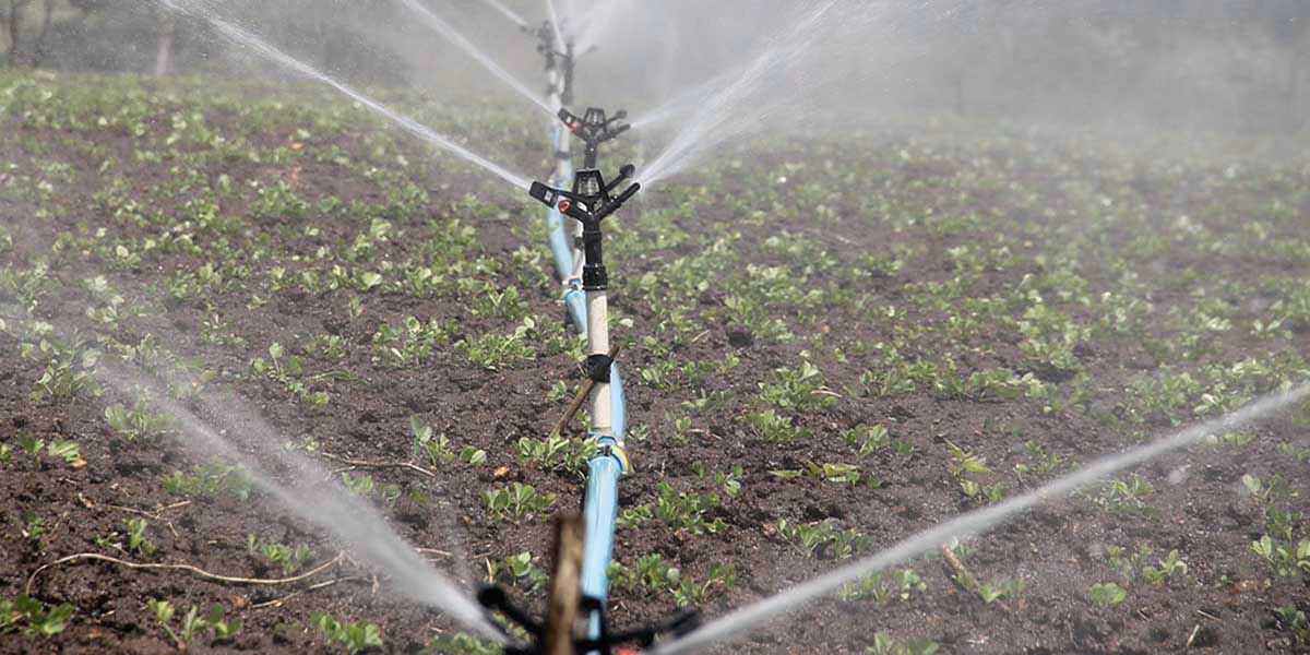 ¿Cuándo se agravó el problema de la deforestación en Costa Rica?