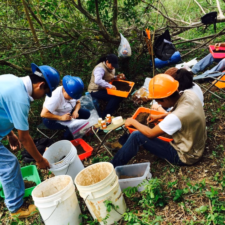 ¿Qué es la remediación de sitios?