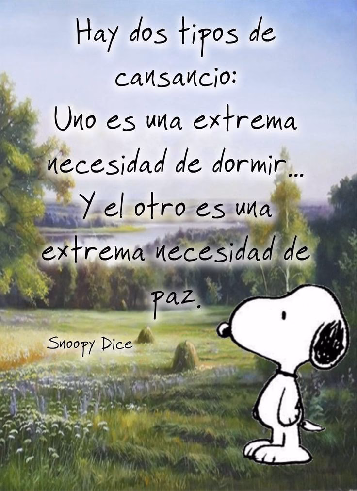 ¿Cuáles son los mejores recuerdos de Snoopy?