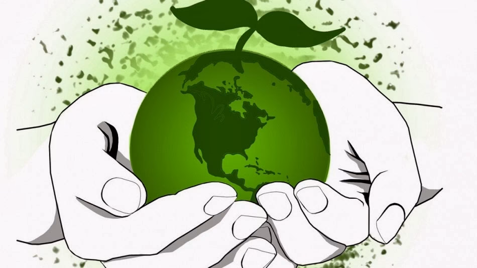 ¿Cómo promover una alimentación sana y equilibrada?