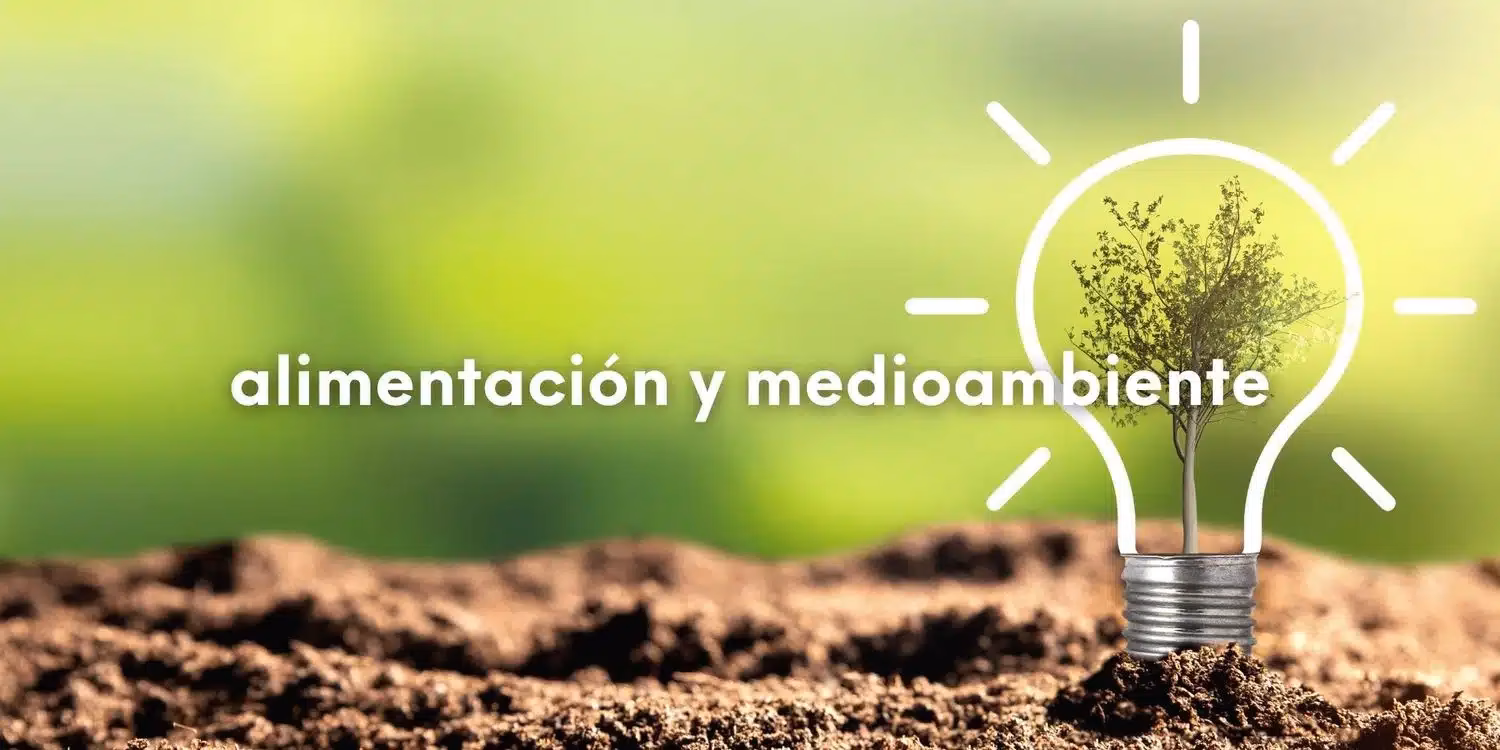 ¿Qué critica paarlberg en la soberanía alimentaria?