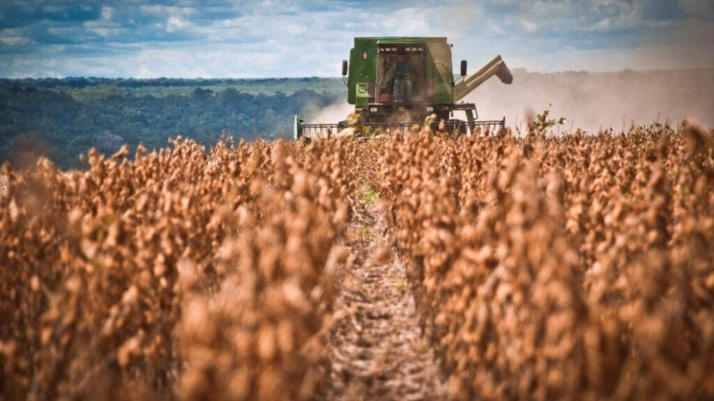¿Quién aumentó la superficie sembrada con soja?