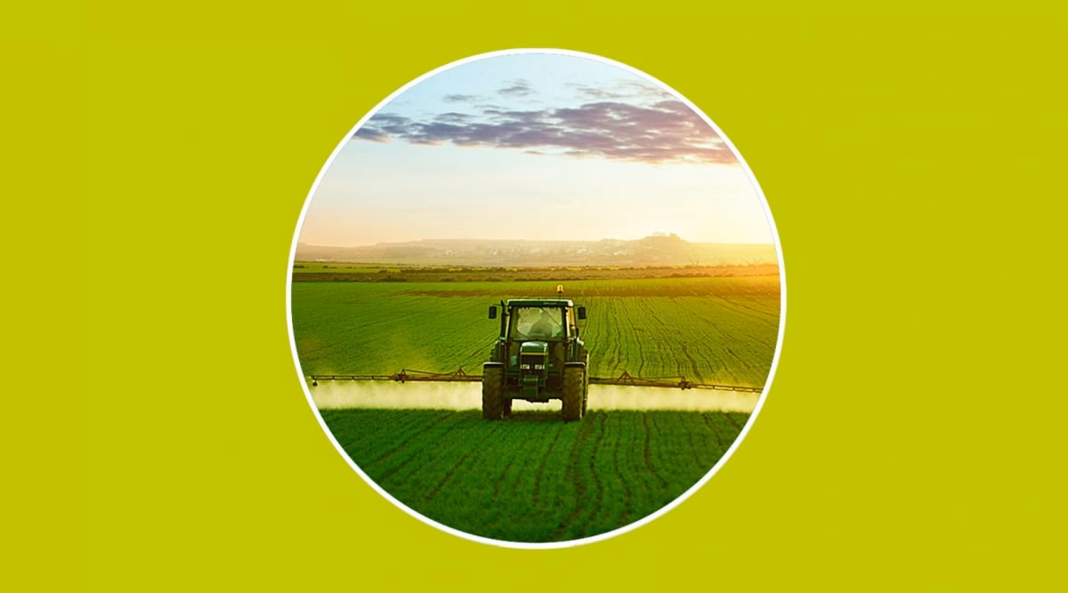 ¿Cuáles son las consecuencias de la contaminación agrícola?