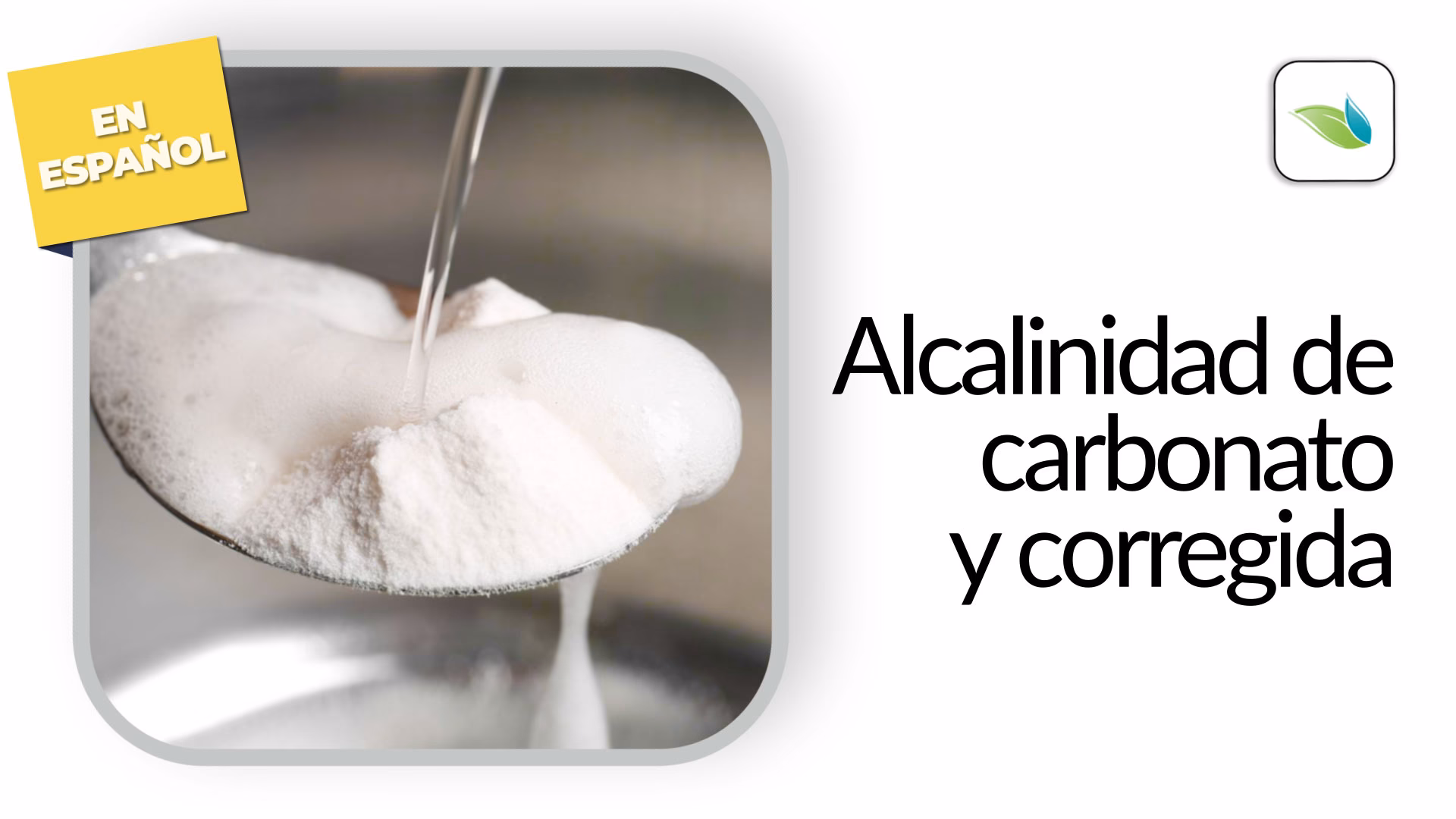 ¿Cómo se neutralizan los álcalis?