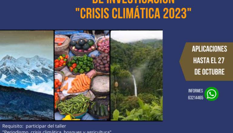 ¿Cuáles son los cambios en los patrones de lluvia en Bolivia?