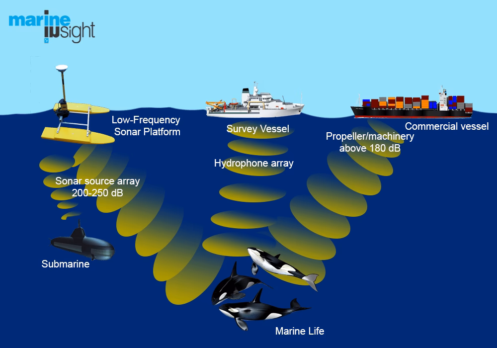 Does sonar technology affect the environment?