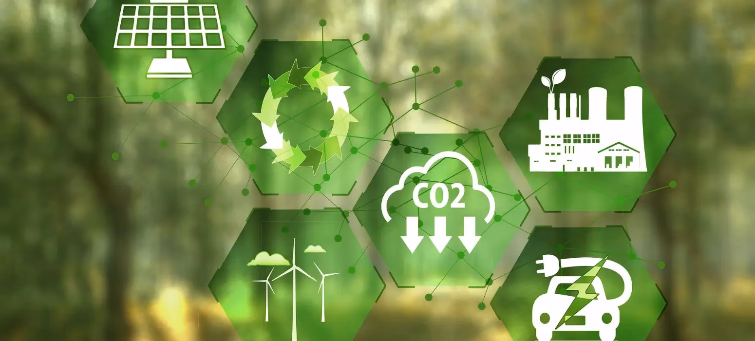 ¿Cuáles son los beneficios de las empresas medioambientalmente sostenibles?