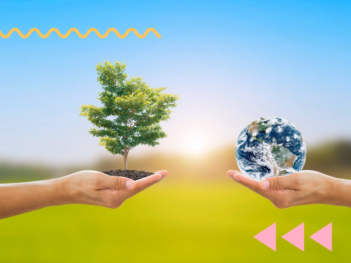 ¿Qué es la sostenibilidad?