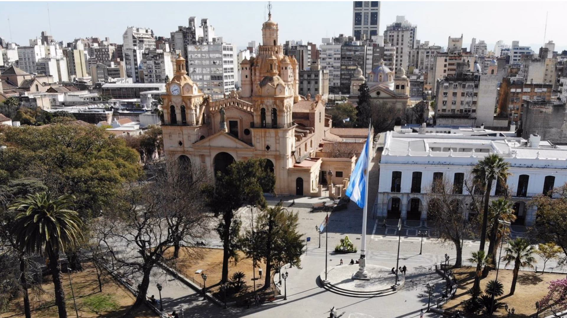 ¿Cuántos árboles nativos entregó el programa forestando Córdoba?