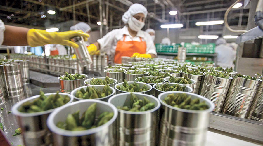 ¿Cuáles son los objetivos de la fruticultura Argentina?