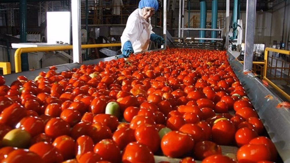 ¿Cuáles son los beneficios del sector agroalimentario?