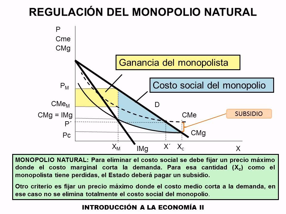 ¿Qué es el monopolio natural?