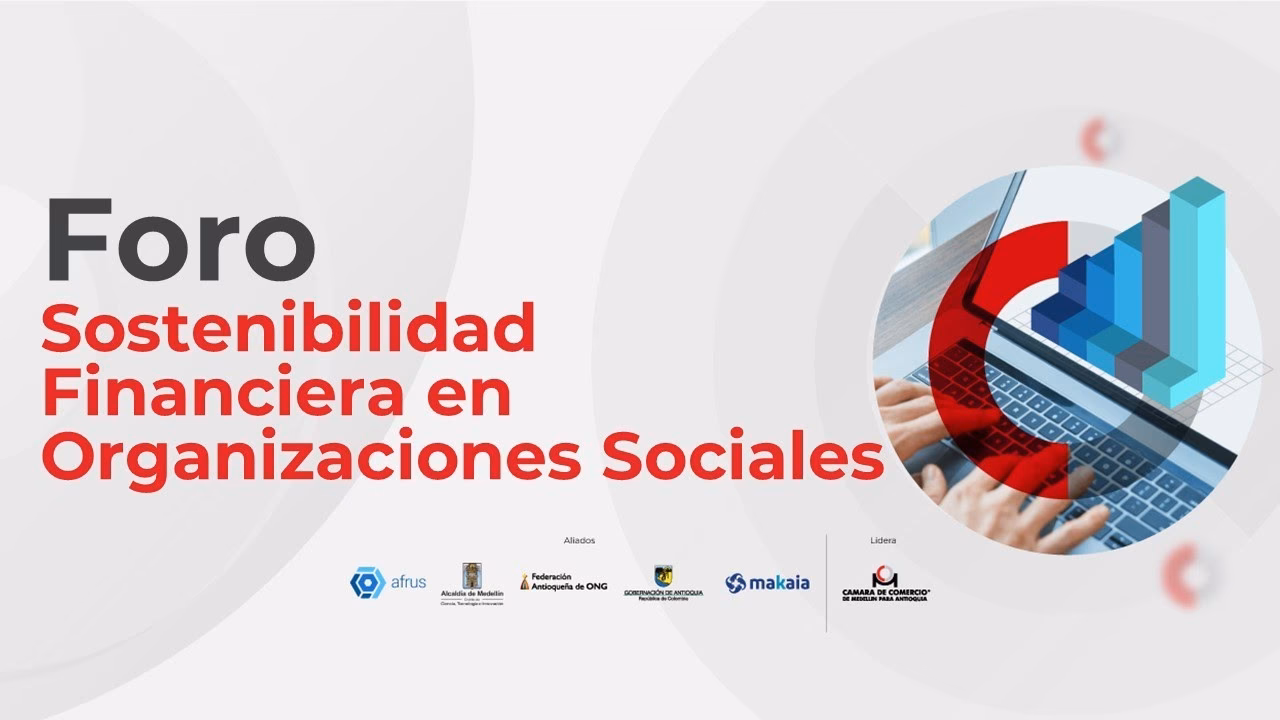 ¿Qué es la sostenibilidad en las ONG?