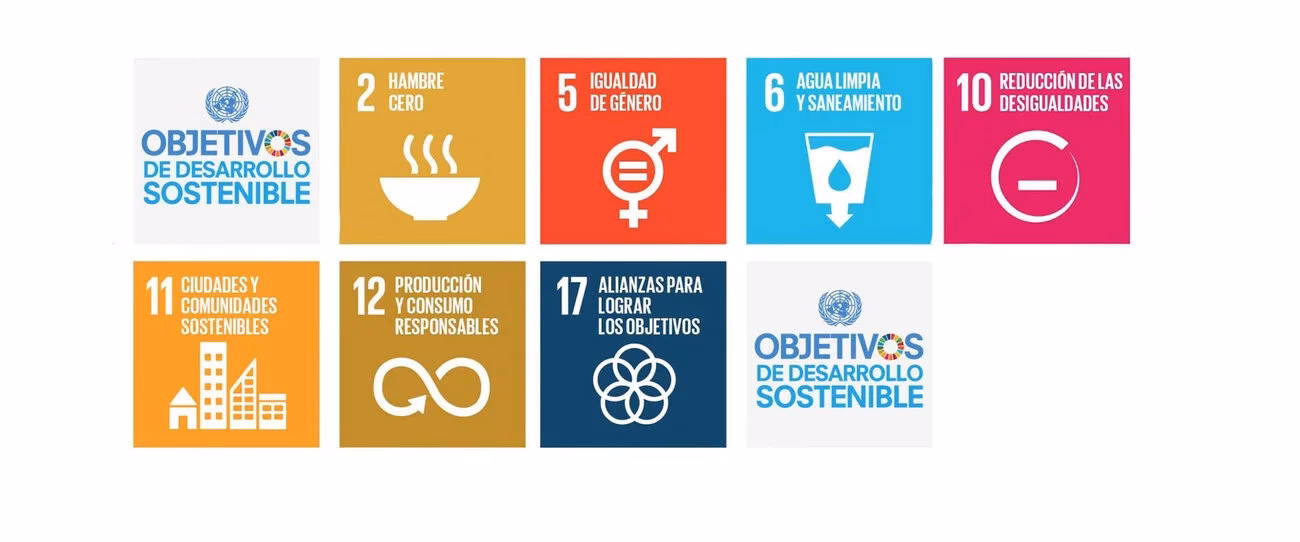 ¿Qué proyectos de sostenibilidad hay que apoyar?