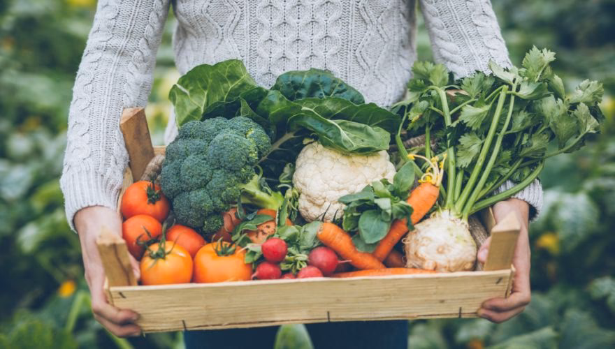 ¿Qué es el proyecto de desarrollo de pequeños porductores agropecuarios?