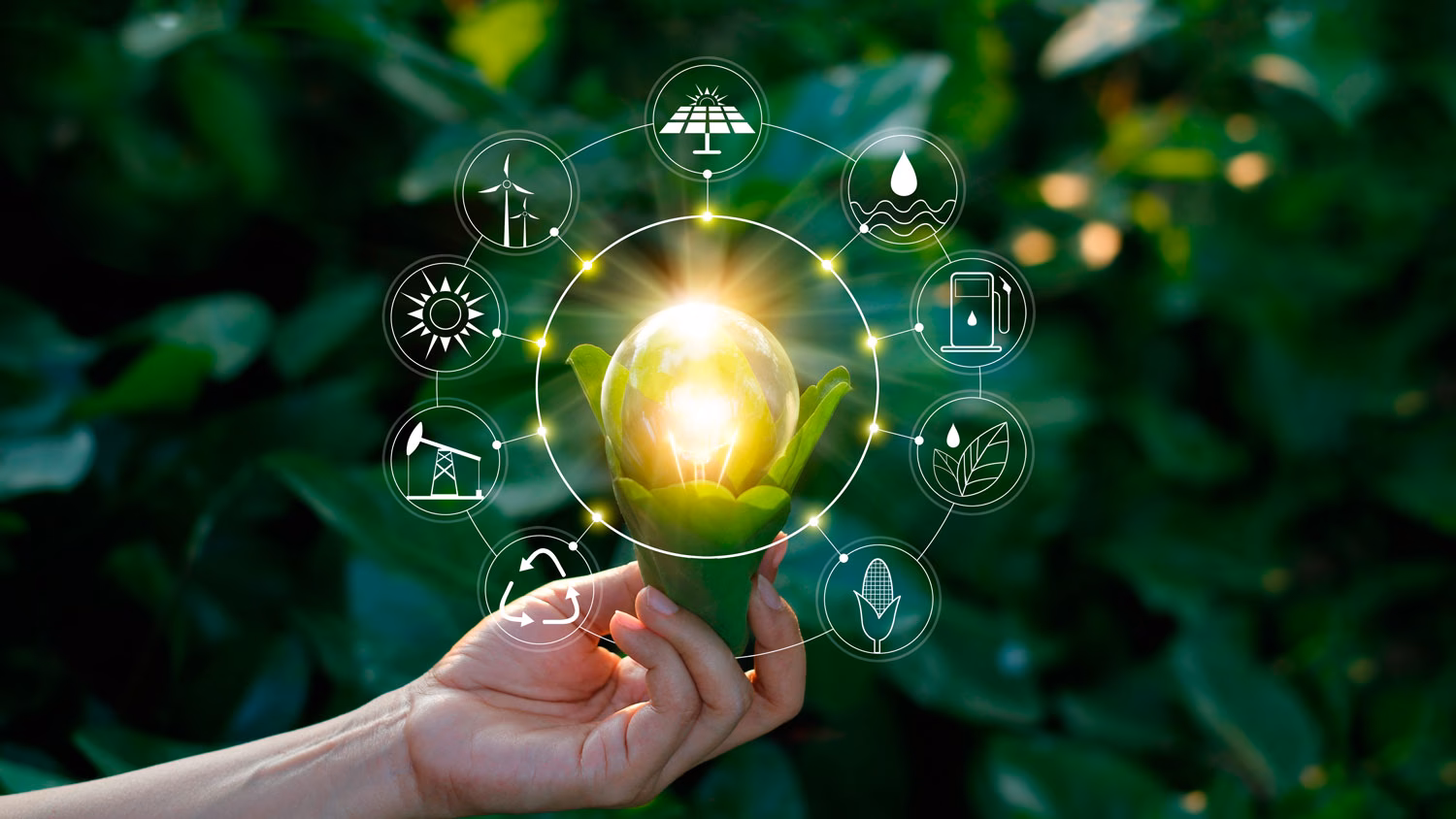 ¿Cuáles son los beneficios de la sostenibilidad ambiental?