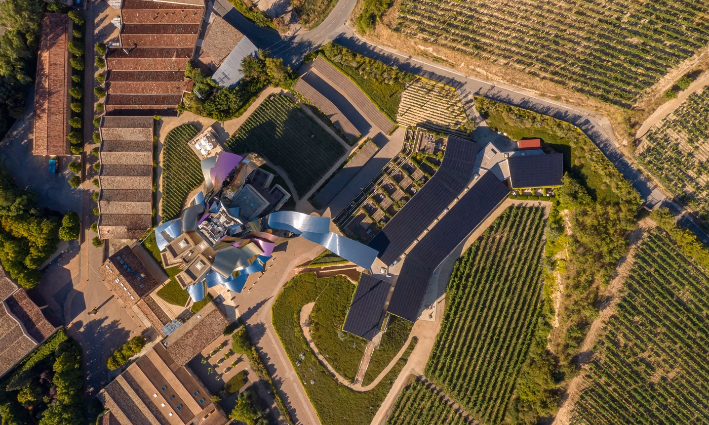 ¿Cuál es la situación fitosanitaria de los viñedos de La Rioja?