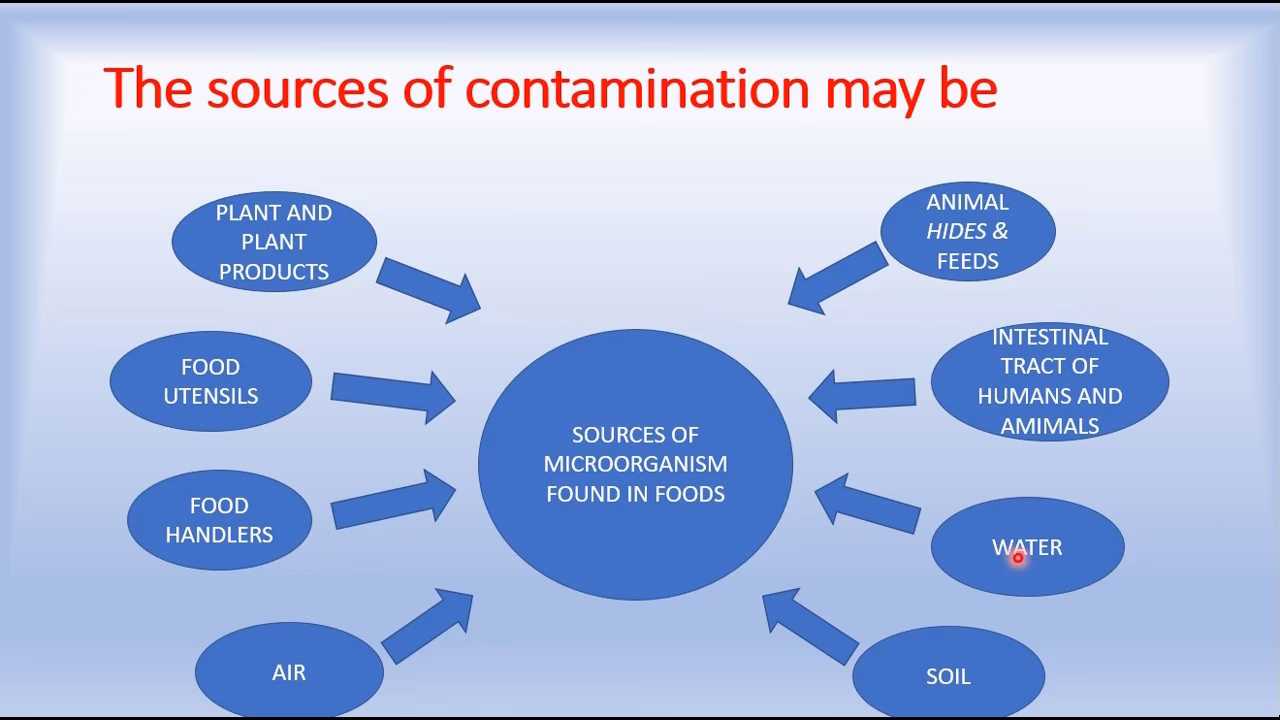 Where does biological contamination occur in food production?